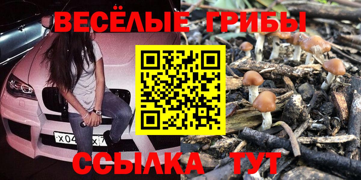 хочу   Вход с VPN  Сальск  Галлюциногенные грибы мухоморы 